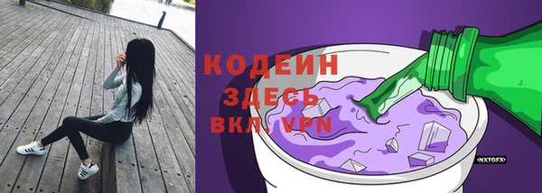 хмурый Абаза