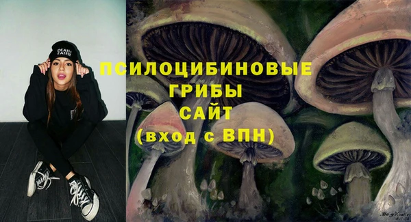 эйфоретик Алзамай