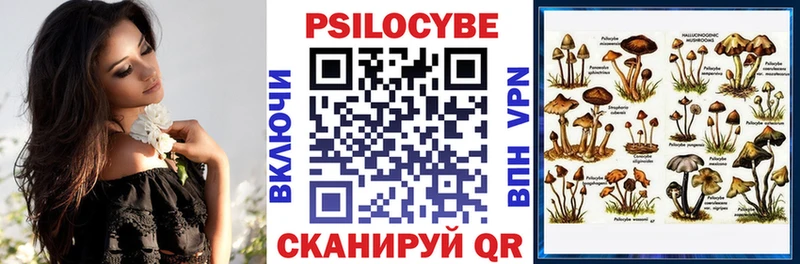 hydra зеркало  Яровое  Псилоцибиновые грибы MAGIC MUSHROOMS 